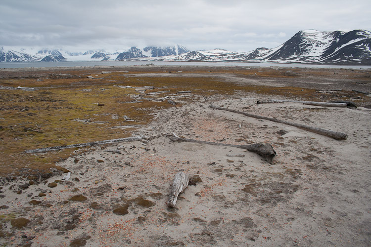 2006 Spitsbergen 2/6